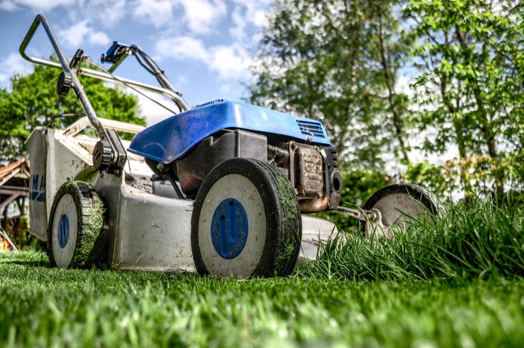 Ecogarden - services